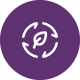 Mindful Anatomy LLC