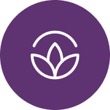 Mindful Anatomy LLC