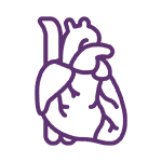 Separate magnets for major organ groups such as the heart, lungs, stomach, bladder, and more.
