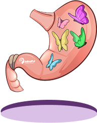 Stomach