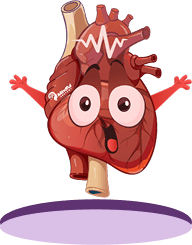 Heart