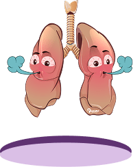 Lungs