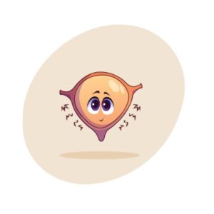 Bladder Magnet