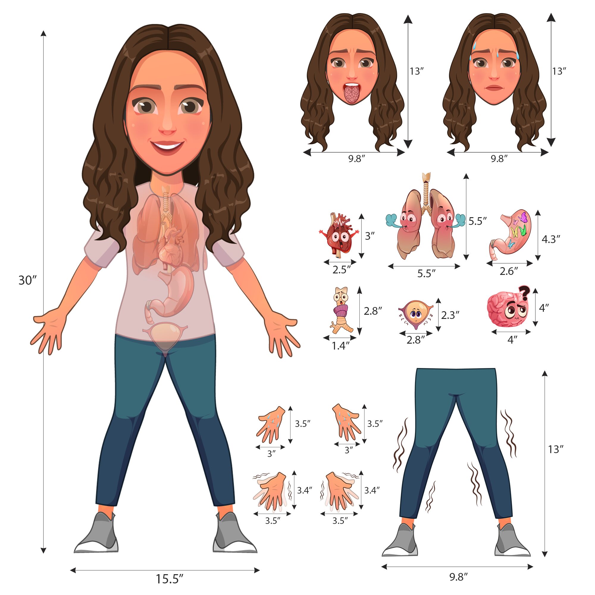 30 Inch Body Female Magnet Set - Image 2