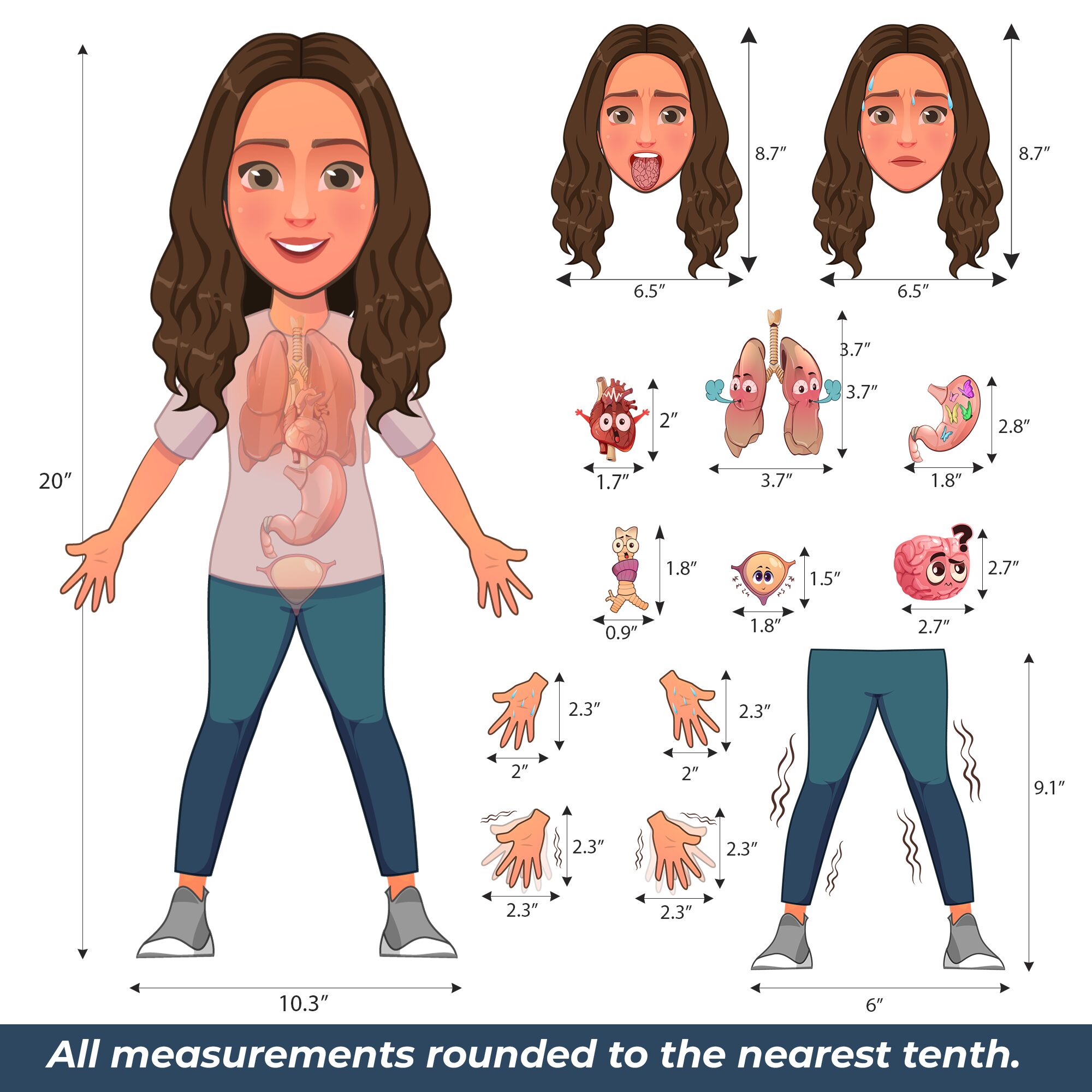 20 Inch Body Female Magnet Set - Image 2